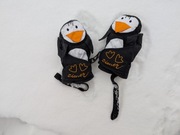 Rękawiczki Ziener 1 rok / 12 mies