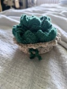 Podkładka na szydełku / kaktus/ sukulent 