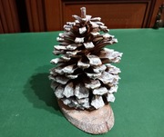 Śnieżna choinka z szyszki / dekoracja świąteczna 14 cm