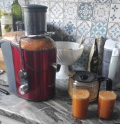 Sokowirówka Moulinex JU650