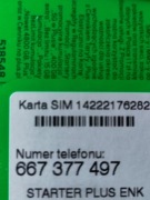 Złoty numer starter dostawa pizza gastronomia taxi