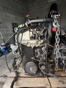 Silnik Renault Master Opel Movano 2.3 dCi m9t 704 2018r