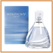 Windscape (75ml) Męskie Avon