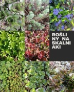 Rośliny na skalniaki mix rozchodnik  dąbrówka barwinek rojnik 