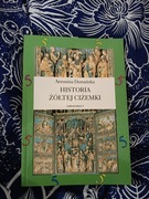 Historia Żółtej Ciżemki 