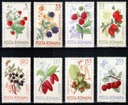 Kwiaty 2361 -8 ** 1964 rok