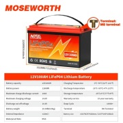 Akumulator MOSEWORTH Litowo-Żelazowo-Fosforanowy (LiFePO4) 12V 100AH z BMS