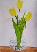 Obraz - Żółte tulipany