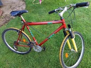 Rower używany  trek