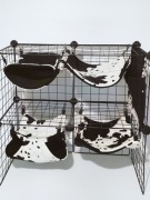 Hamaki dla szczurów, szynszyli, koszatniczek. Łaciata czarna krówka.