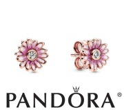 PANDORA Rose  Kolczyki sztyfty Różowe stokrotki