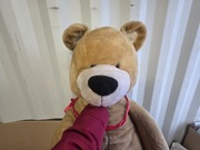 Mis pluszak 2 metry - bardzo duży 