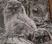 Foto obraz na ramie  drewnianej 60cm x 40 cm