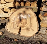 ORZECH WŁOSKI 55/40/5 cm Wysuszony Plaster Drewna Blat Stolik Żywica DIY 