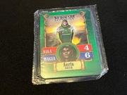Karty Heroes Might&Magic IV Lay's | Aeris | Druid | KILMAR Miasto Unikat