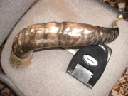 Róg bawoli okuty w metal podobny do srebra Ag