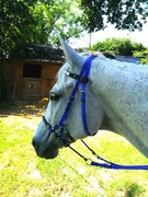 Ogłowie z biothane 3w1