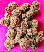 5 gram suszu CBD AK-47