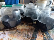 Filiżanki do herbaty 