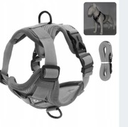 Szelki ze smyczą Wesolypupil szare L