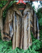 Nutria naturalna brązowa 