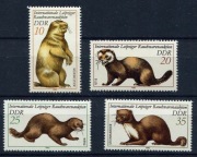 Fauna 2677 - 2680 **   