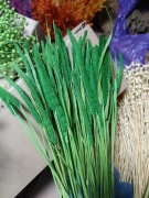 Tymotka  zielona naturalna trawa susz na palmy