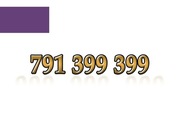 791 399 399 ZŁOTY NUMER STARTER PLAY ŁATWY NA KARTĘ PREPAID GSM