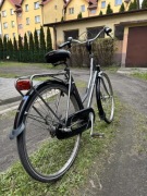 Rower Batavus Future