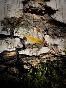 Micro jig na białoryb