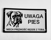 Tabliczka ostrzegawcza uwaga pies bokser 