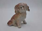 CLUJ NAPOCA figurka porcelanowa sygnowana pies pekińczyk vintage 