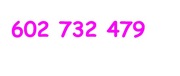602 732 479 ZŁOTY NUMER T-Mobile