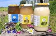 Miód wielokwiatowy nektarowy 