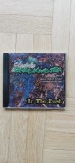 Electric Breakwater with Mark Egan & Rodney Holmes - In The Bush (CD)