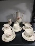 Serwis Pruszków róża 