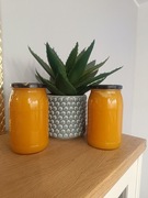 Miód Lipowo-Nawlociowy 