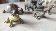 Schleich żaba papuga kot tygrys żółw dzik aligator
