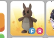 Adopt me pet Kangaroo