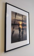 Fotografia artystyczna 