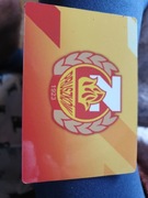 Znicz Pruszków magnes kolekcjonerski 