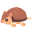Armadillo Adopt Me AM