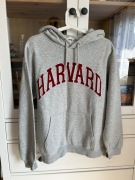 Szara bluza z kapturem sportowa Harvard H&M klasyczna wiosenna