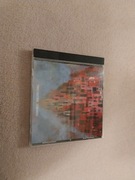 Tomasz Budzyński - Osobliwości