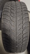 Opony zimowe Dębica Frigo 2 205/55 R16