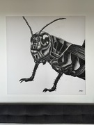 Obraz owad czarno-biały płótno 120x120cm