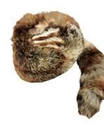 CZAPKA NATURALNA  TOCZEK Z LISA RUDEGO Z KITĄ