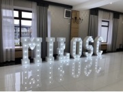 Wynajem - Napisy, litery 3D - Wesele,ślub - Miłość