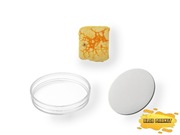 Zestaw XS do hodowli Physarum polycephalum 