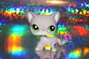 Littlest Pet Shop #2094 shorthair LPS oryginalny pop oryginał Hasbro